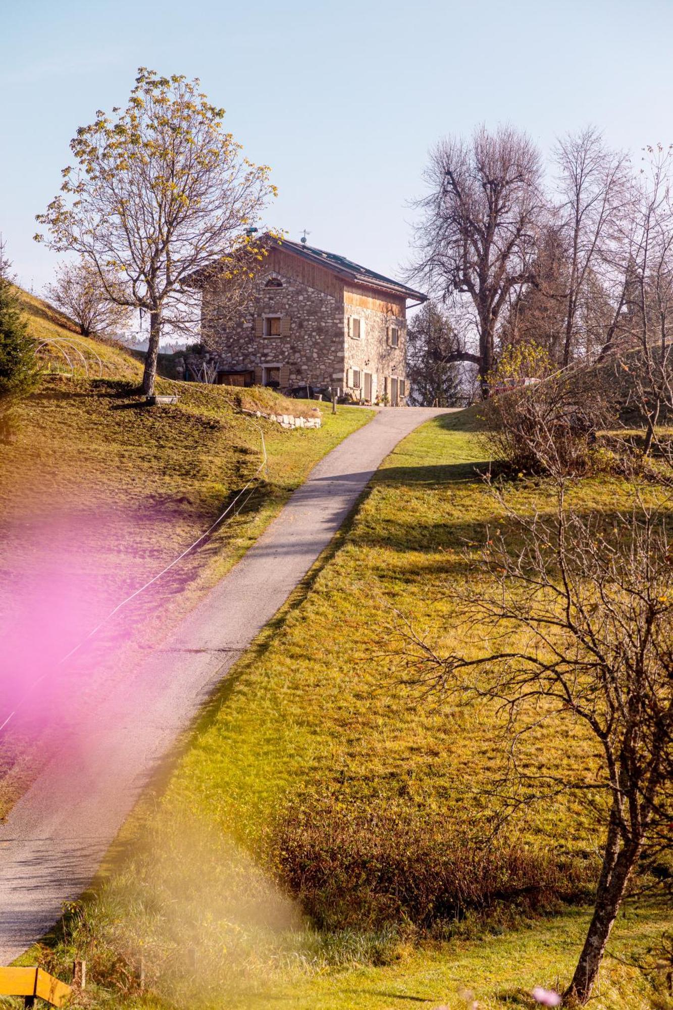 B&B Ai Marchetini Cinte Tesino Экстерьер фото